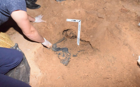 Житель Марий Эл, убивший брата и изнасиловавший супругу табуреткой, получил "строгач"(ВИДЕО)