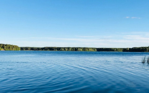 Жителям Марий Эл придется заплатить, чтобы искупаться на озере Яльчик