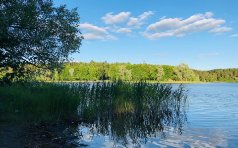 Жители Марий Эл против платы за природные озера