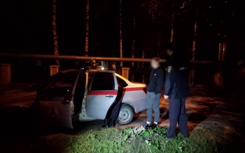 «Ну можно мы пойдем домой?»: подросток сбежал от полицейских в Йошкар-Оле