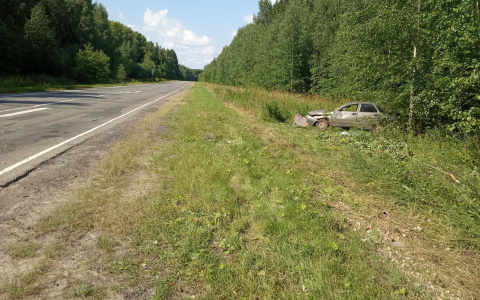 Скончался на месте: пьяный житель Марий Эл перевернулся в кювете