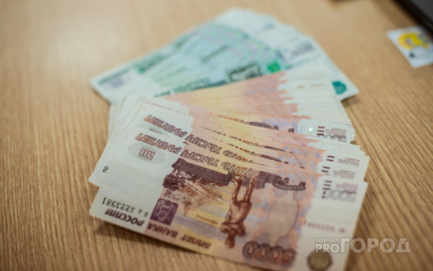 Жителям Марий Эл стало проще оформить пособие на детей