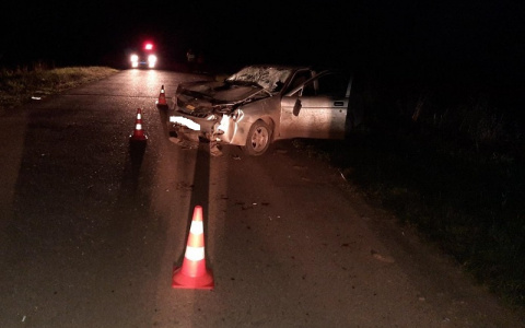 В Марий Эл водитель сбил семерых пешеходов: четверых детей госпитализировали