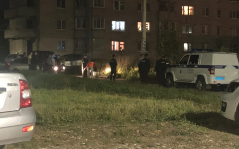 Убийство в Йошкар-Оле: на Ремзаводе нашли тело мужчины