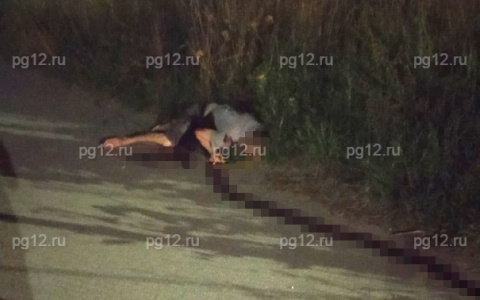 Убийство на Ремзаводе: в Йошкар-Оле полиция задержала подозреваемого