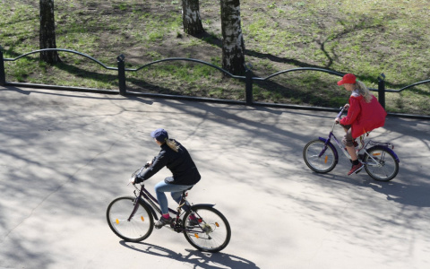 В Марий Эл 6-летняя девочка попала под колеса