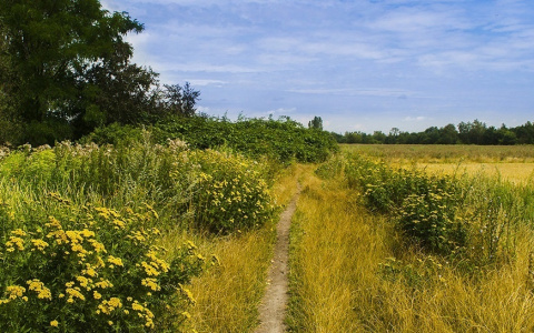 Жителям Марий Эл рассказали, какие происшествия могут с ними случиться в августе