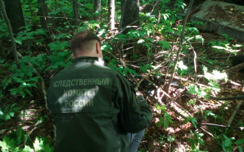 В Марий Эл известны обстоятельства смерти женщины, которую разыскивали пять дней