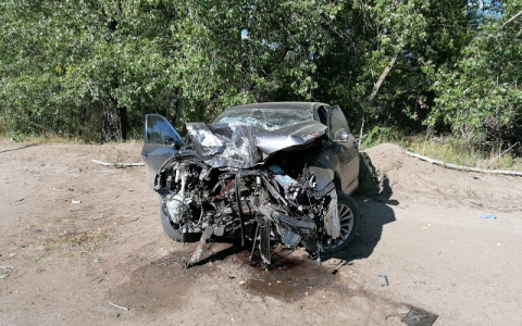 Всмятку: в Марий Эл иномарка не пережила встречи с деревом