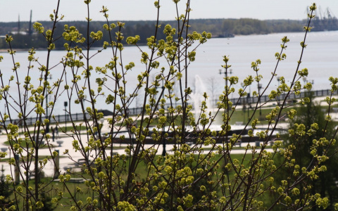 Психологический тест на личность расскажет о состоянии вашей души