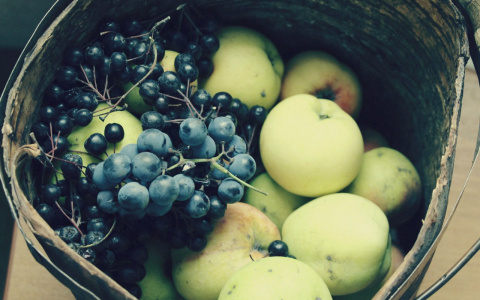 Йошкар-Ола отмечает Яблочный спас: что категорически запрещено делать в этот день?