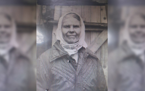 Пропала женщина: в Марий Эл собирают поисковый отряд