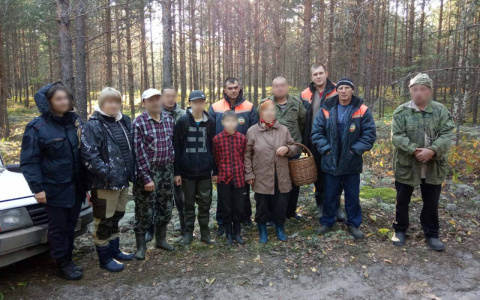 Ушли в лес и не вернулись: в Марий Эл всю ночь искали семью грибников