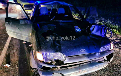 В Марий Эл дикое животное попало под колеса "четырнадцатой"