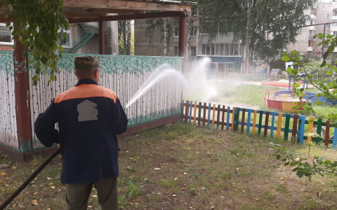 В Марий Эл школам и детским садам устроили полную дезинфекцию