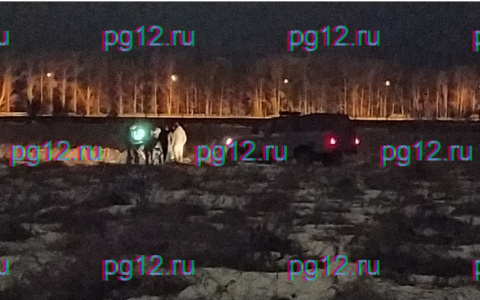 В Марий Эл более пяти месяцев ищут причастных к смерти новорожденного ребенка