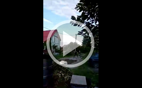 В Йошкар-Оле жестокое избиение женщины прохожие записали на видео