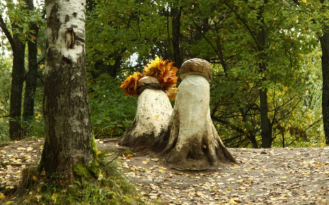 Грибной сезон в Марий Эл: куда идти, и как не отравиться