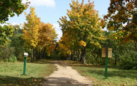 В первую неделю сентября в Марий Эл ожидается жаркая погода