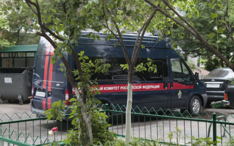 В Йошкар-Оле обнаружили тело женщины в крови: новые подробности