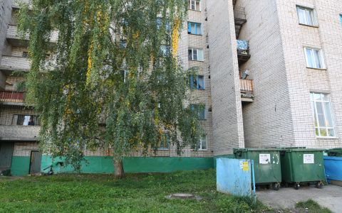 Нашествие блох: йошкаролинцы жалуются на насекомых