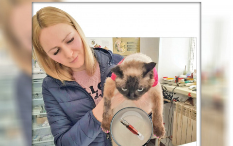 Под надзором даже рыбки: кого и когда чипируют в Марий Эл?