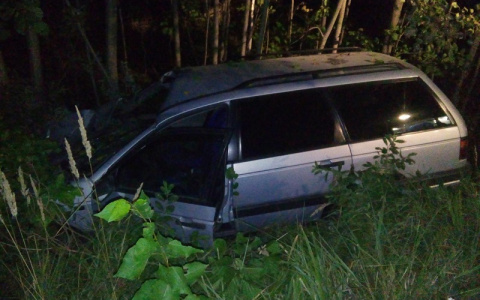 На трассе Йошкар-Ола – Козьмодемьянск водитель авто сбил парнокопытное животное