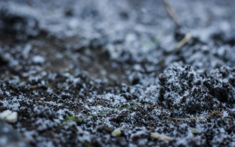 Жителям Марий Эл посоветовали готовиться к заморозкам