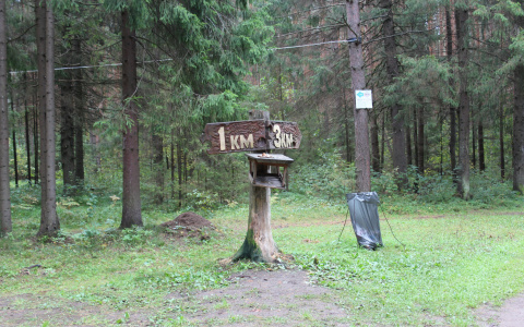 Ученые нашли способ искать тела погибших в лесу