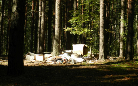 Жителей Марий Эл предупредили о страшной опасности в лесах