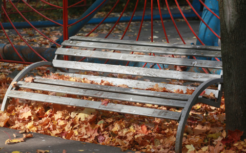 Синоптик-любитель из Йошкар-Олы рассказал каким будет сентябрь