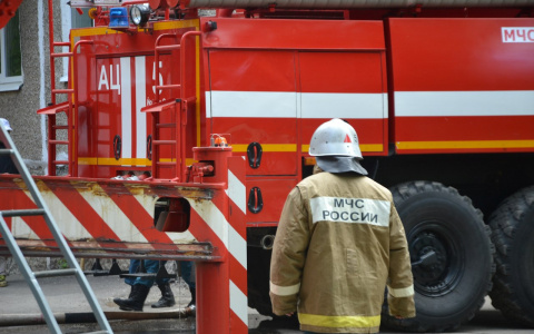 Пожар в Марий Эл: мама с дочкой не смогли справиться с пламенем