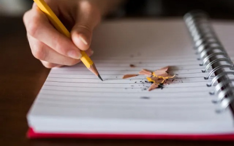 Лишь настоящие гении с IQ выше 120 пройдут этот тест без ошибок