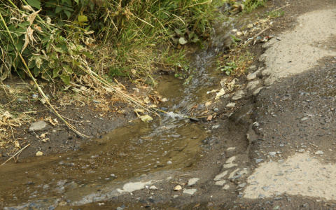 Стало известно, какие опасности могут поджидать жителей Марий Эл осенью