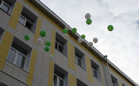 Известно, как будут работать школы со следующего года