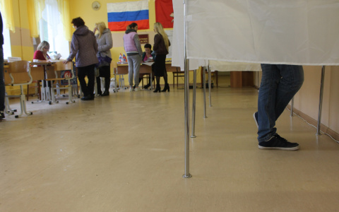 Итоги голосования: жители Марий Эл решили поддержать самовыдвиженцев