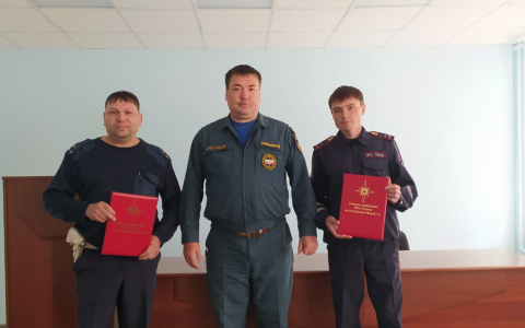 В Марий Эл полицейским, которые спасли мальчика на пожаре, выдали награды