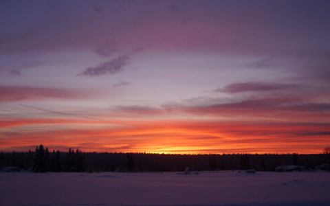 «Как у Пушкина?»: синоптик рассказал, какую зиму ждать россиянам