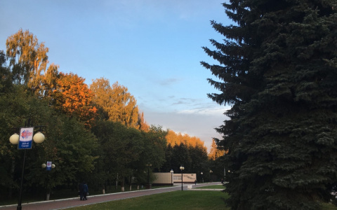 Прогноз погоды на неделю: в Йошкар-Оле холодная осень сменяется бабьим летом