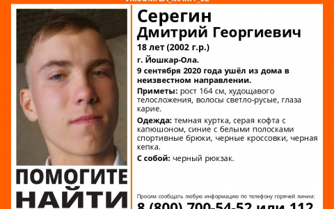 Йошкаролинец вышел из дома в начале сентября и до сих пор не вернулся