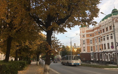 Всю неделю йошкаролинцев будет согревать летнее солнце