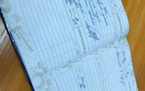 В одной из бесплатных школ Йошкар-Олы ввели платную платформу