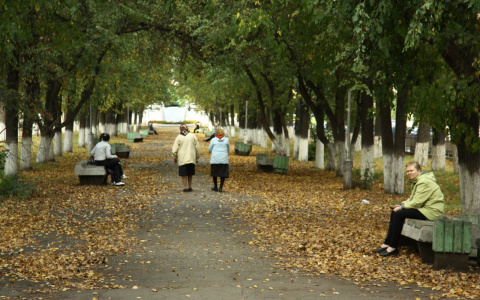 Стало известно, какой погоды ждать йошкаролинцам в октябре