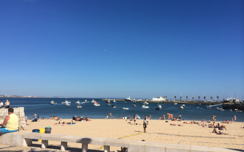 Йошкаролинка, заплатившая за поездку в Таиланд 70 тысяч рублей, оказалась в прокуратуре