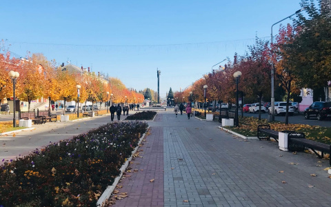 В Йошкар-Оле “бабье лето” подходит к концу