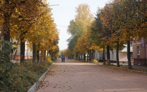 В Марий Эл облагородили более 80 территорий