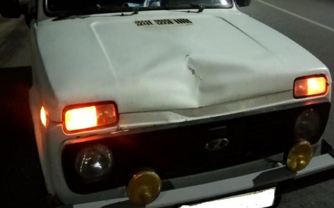 В Йошкар-Оле водитель "Нивы" отправил пешехода на больничную койку