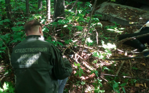 Числилась без вести пропавшей: в лесу йошкаролинец задушил свою подругу