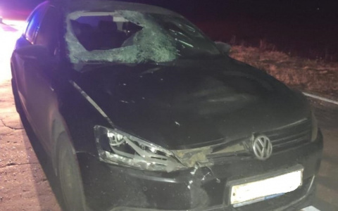 Иномарка насмерть сбила «темного» пешехода на трассе в Марий Эл