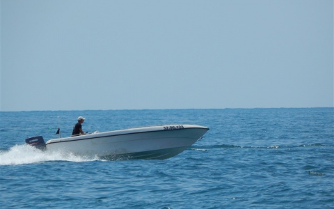 Российская академия наук заявила, что ситуация на Камчатке не повлияет на рыб